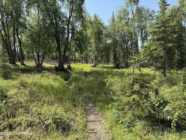 123 Green Valley St, Soldotna, AK 99669 - view of nature
