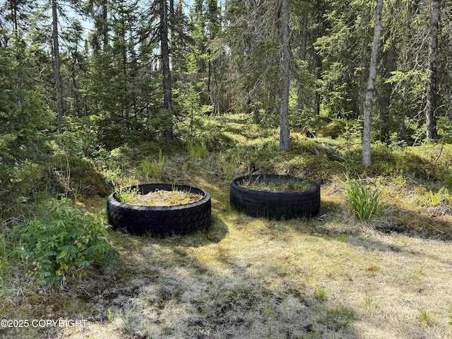 123 Green Valley St, Soldotna, AK 99669 - view of yard with a forest view