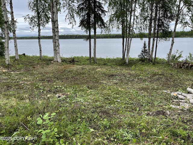 13759 N Michigan St, Willow, AK 99688 - photo 3