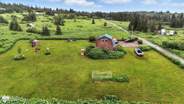 64320 Trail Rd, Anchor Point, AK 99556 - overview of rural landscape