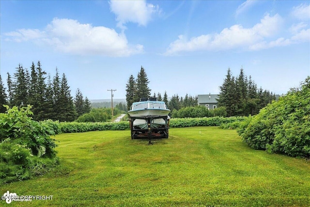 64320 Trail Rd, Anchor Point, AK 99556 - view of green lawn