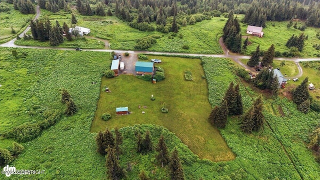 64320 Trail Rd, Anchor Point, AK 99556 - view of property location