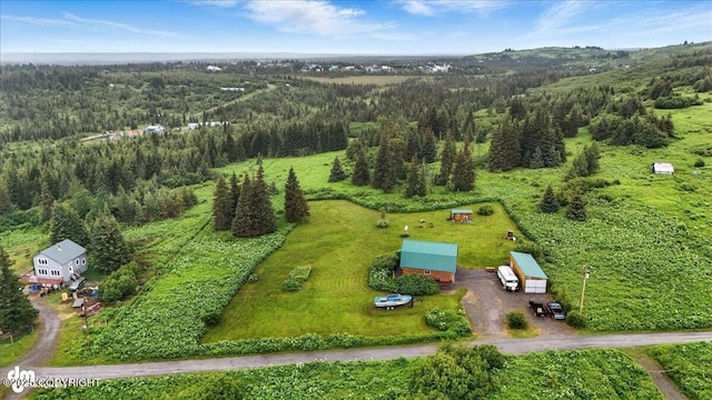 64320 Trail Rd, Anchor Point, AK 99556 - aerial view of property's location with a heavily wooded area