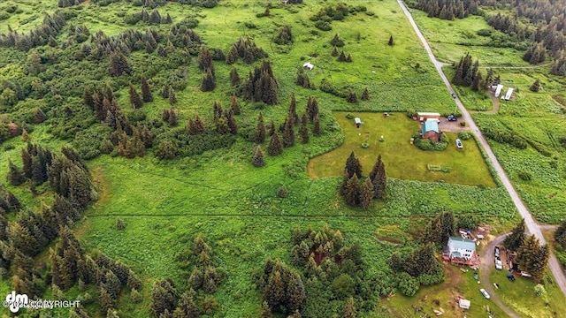 64320 Trail Rd, Anchor Point, AK 99556 - aerial view of property's location