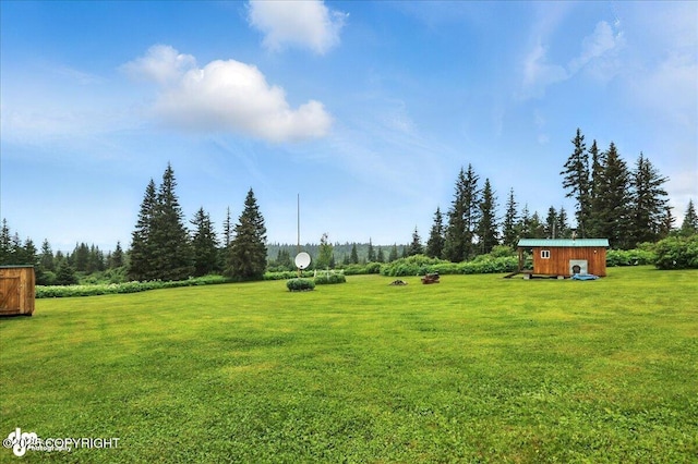 64320 Trail Rd, Anchor Point, AK 99556 - view of grassy yard featuring a storage unit