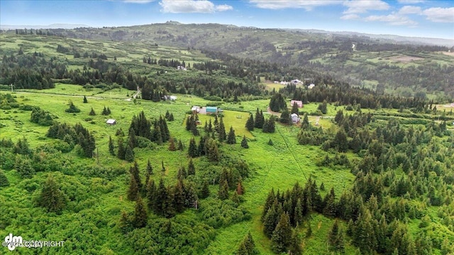 64320 Trail Rd, Anchor Point, AK 99556 - aerial view of a mountain backdrop and a heavily wooded area