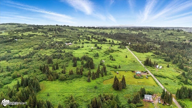64320 Trail Rd, Anchor Point, AK 99556 - view of rural area