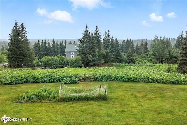 64320 Trail Rd, Anchor Point, AK 99556 - view of green lawn