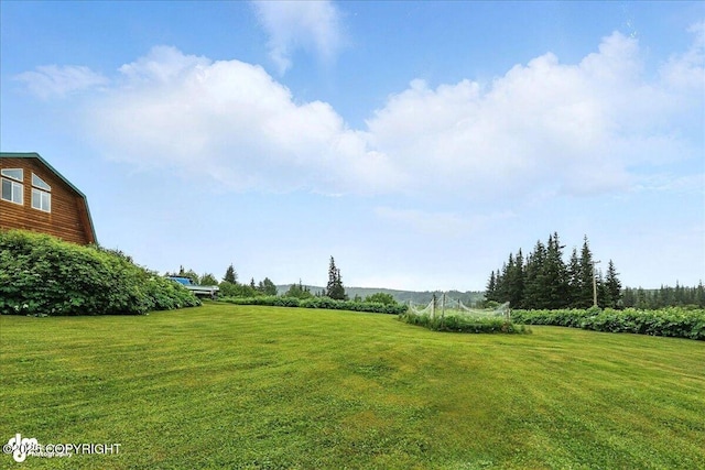64320 Trail Rd, Anchor Point, AK 99556 - view of grassy yard