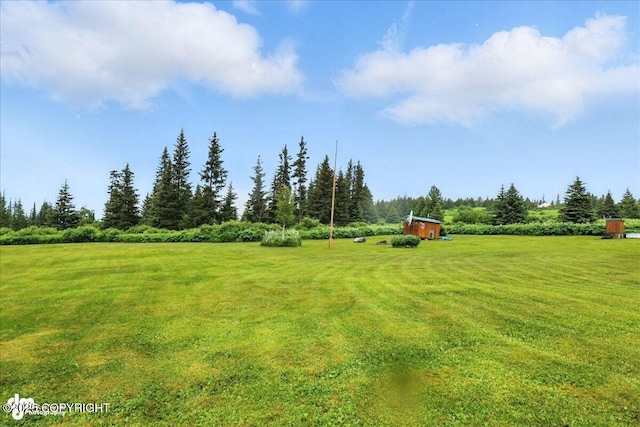 64320 Trail Rd, Anchor Point, AK 99556 - view of grassy yard with a rural view and an outdoor structure