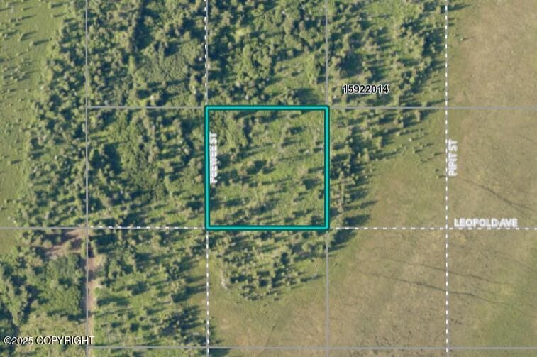 68404 Leopold Ave, Anchor Point, AK 99556