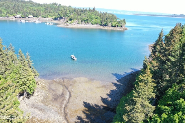 000 Halibut Cv, Halibut Cove, AK 99603