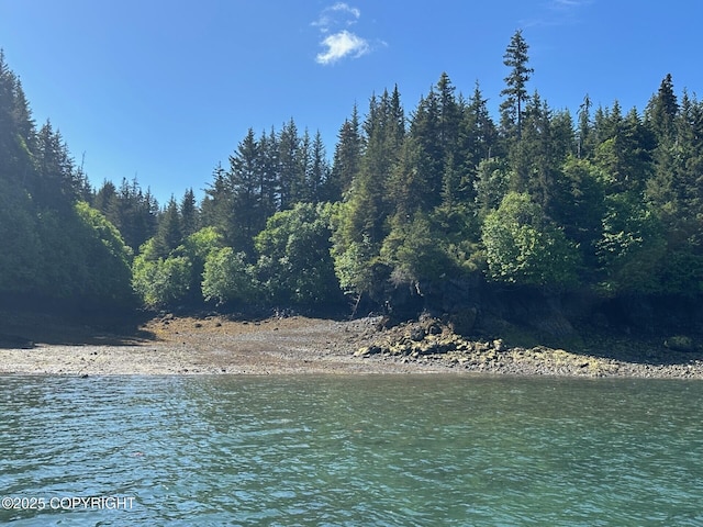 000 Halibut Cv, Halibut Cove, AK 99603