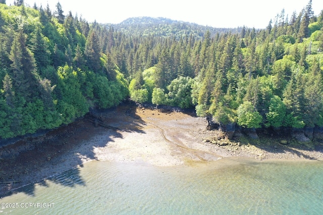 000 Halibut Cv, Halibut Cove, AK 99603