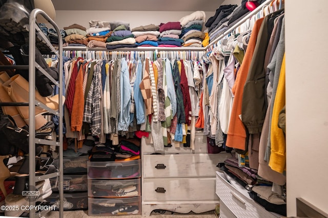 1302 E Esty Dr, Palmer, AK 99645 - view of walk in closet