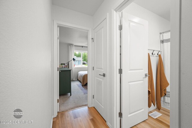 1302 E Esty Dr, Palmer, AK 99645 - corridor featuring light wood-style floors