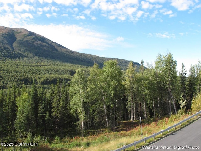 20103 Riverside Dr # 1B, Eagle River, AK 99577 - view of mountain backdrop featuring a forest