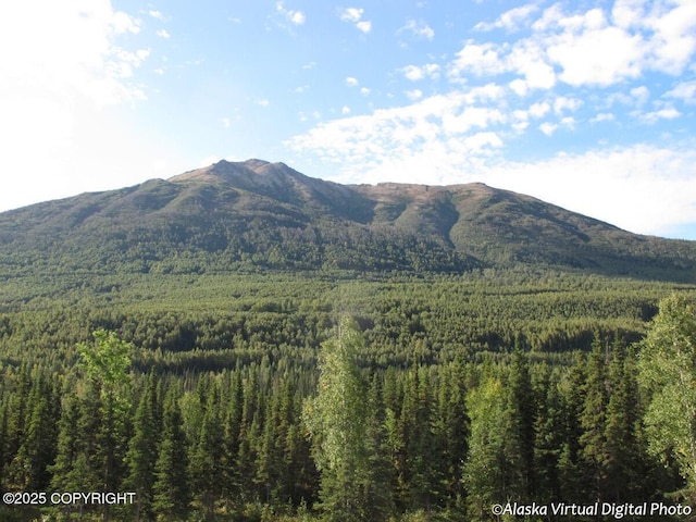 20103 Riverside Dr # 1B, Eagle River, AK 99577 - view of mountain backdrop featuring a forest