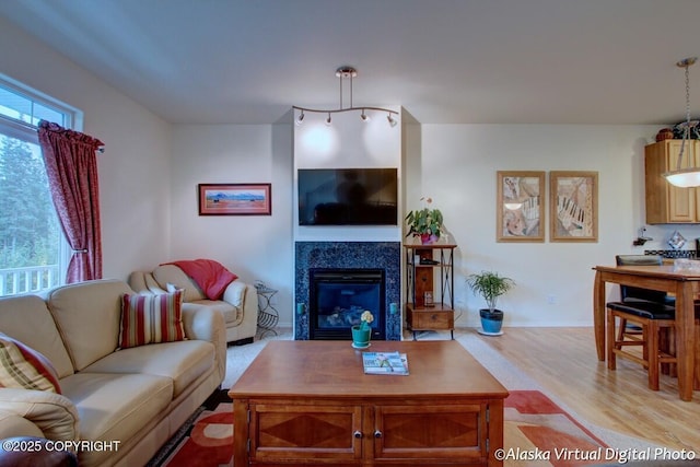 20103 Riverside Dr # 1B, Eagle River, AK 99577 - living area featuring wood finished floors and a glass covered fireplace