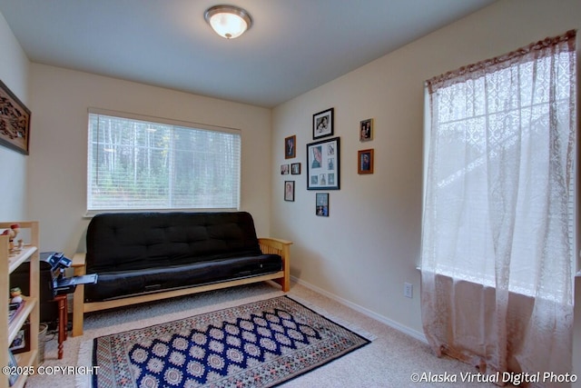 20103 Riverside Dr # 1B, Eagle River, AK 99577 - living area featuring carpet and baseboards