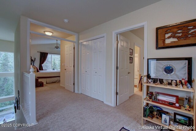 20103 Riverside Dr # 1B, Eagle River, AK 99577 - corridor with carpet floors