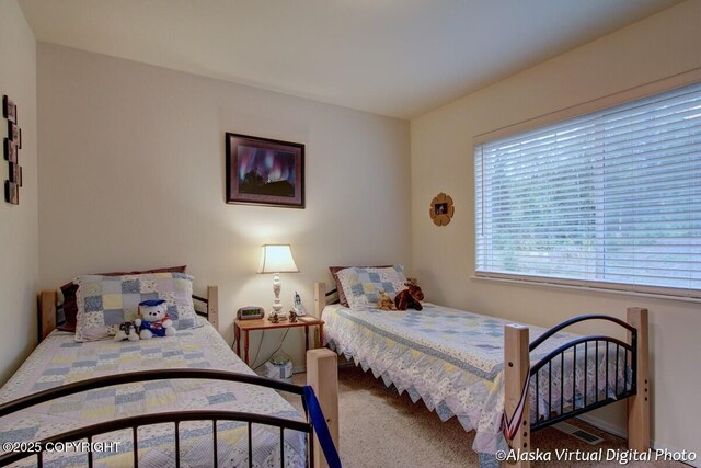 20103 Riverside Dr # 1B, Eagle River, AK 99577 - view of carpeted bedroom