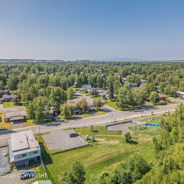 2831 Bennett Ave, Anchorage, AK 99517 - bird's eye view