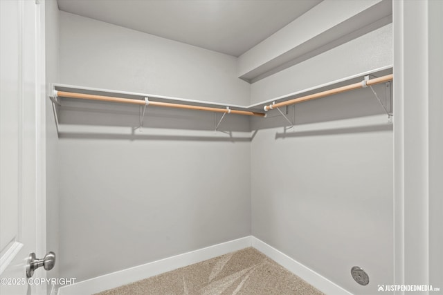 20218 Eagles Nest Ct, Eagle River, AK 99577 - spacious closet with carpet floors