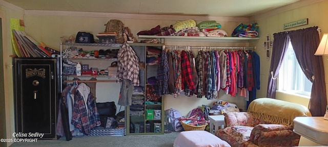 48105 Halverson Ave, Soldotna, AK 99669 - spacious closet featuring carpet flooring