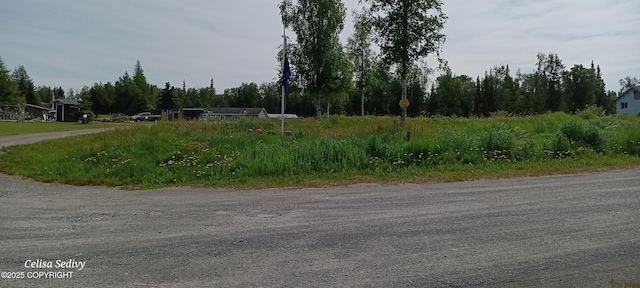 48105 Halverson Ave, Soldotna, AK 99669 - view of street