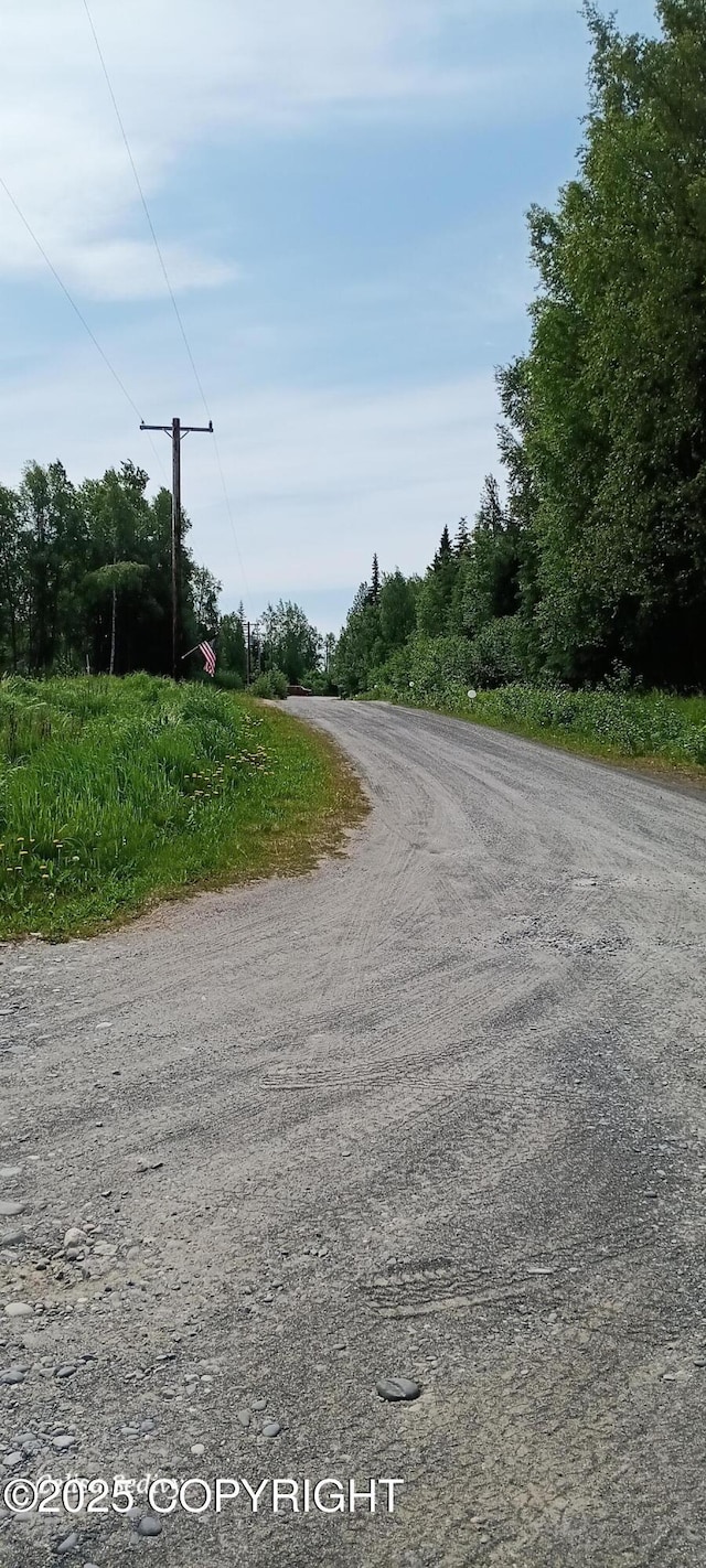 48105 Halverson Ave, Soldotna, AK 99669 - view of road