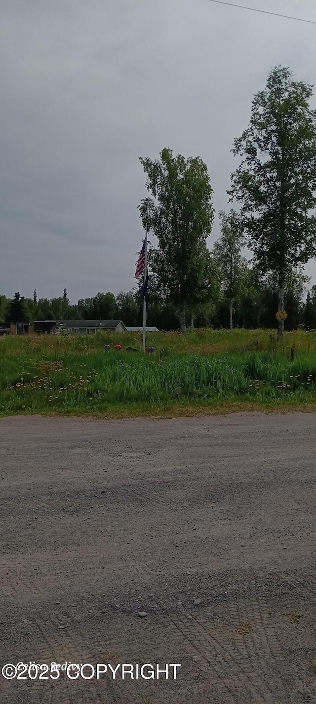 48105 Halverson Ave, Soldotna, AK 99669 - view of asphalt road