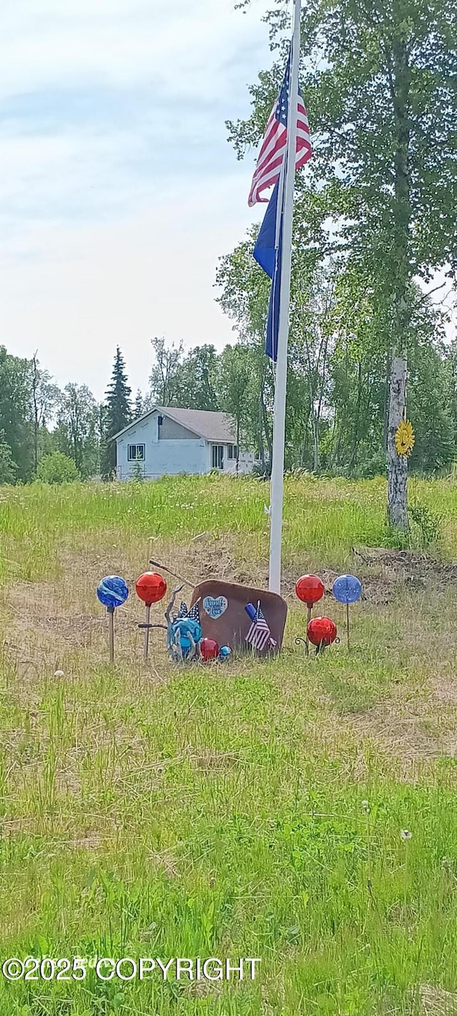 48105 Halverson Ave, Soldotna, AK 99669 - view of yard