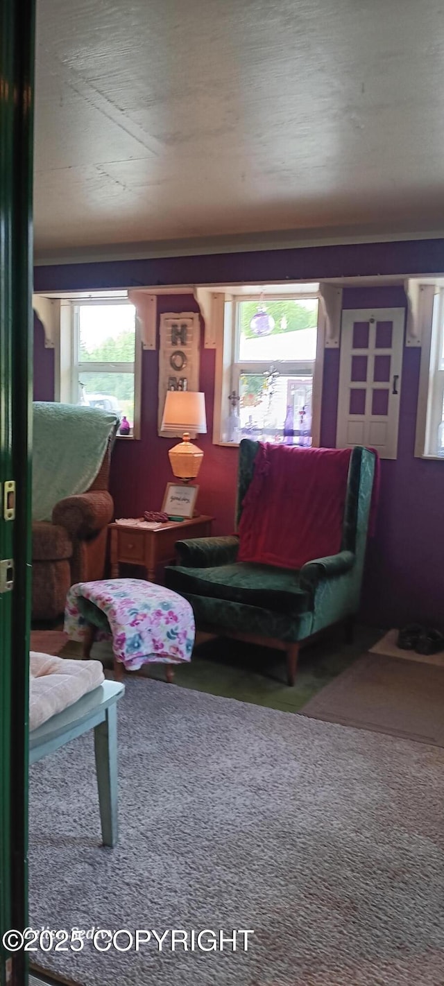 48105 Halverson Ave, Soldotna, AK 99669 - living room with carpet