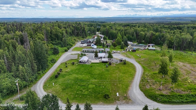 48105 Halverson Ave, Soldotna, AK 99669 - aerial view of a heavily wooded area