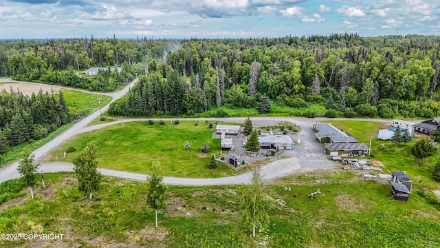 48105 Halverson Ave, Soldotna, AK 99669 - drone / aerial view of a heavily wooded area