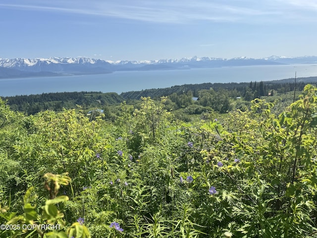 L4 E End Rd, Homer, AK 99603