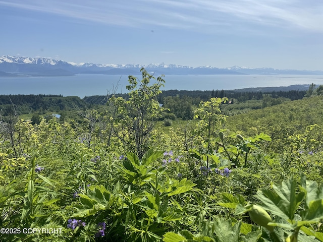 L4 E End Rd, Homer, AK 99603