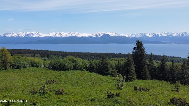 L4 E End Rd, Homer, AK 99603