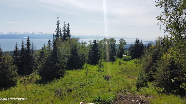 L4 E End Rd, Homer, AK 99603