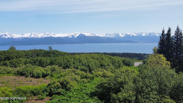 L4 E End Rd, Homer, AK 99603