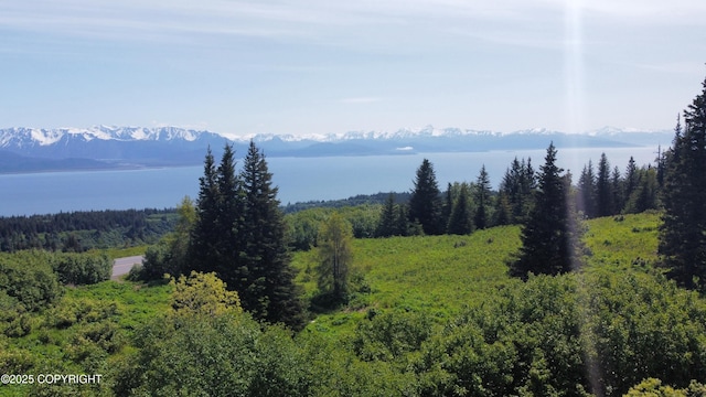 L4 E End Rd, Homer, AK 99603