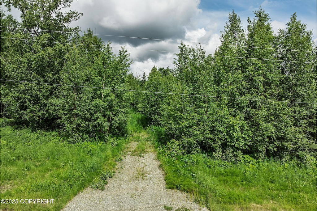 6677 N Sunset Dr, Wasilla, AK 99654 - photo 1