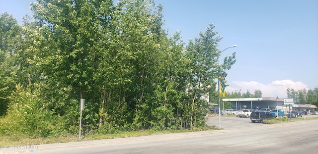 121 E Herning Ave, Wasilla, AK 99654 - photo 3