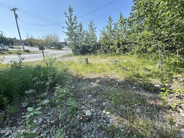 121 E Herning Ave, Wasilla, AK 99654 - photo 6