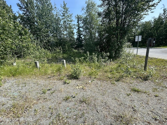 121 E Herning Ave, Wasilla, AK 99654 - photo 5