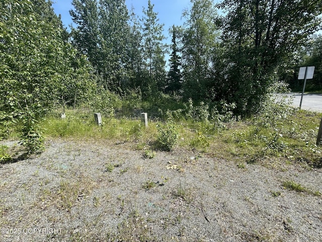 121 E Herning Ave, Wasilla, AK 99654 - photo 7