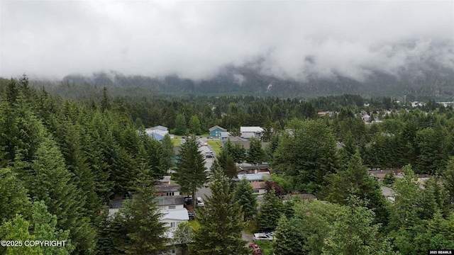 6590 Glacier Hwy, Juneau, AK 99801 - aerial overview of property's location featuring a heavily wooded area