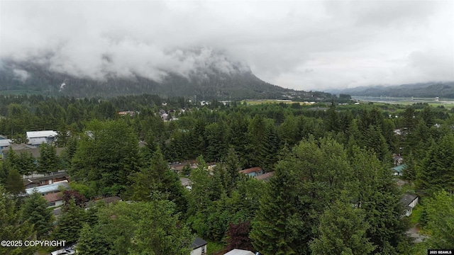 6590 Glacier Hwy, Juneau, AK 99801 - aerial view of a forest