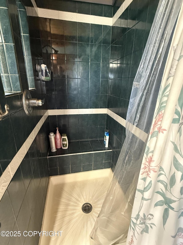 35605 Kalifornsky Beach Rd, Kenai, AK 99669 - bathroom featuring a tile shower